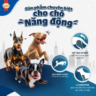 Thức ăn SmartHeart Power Pack 1kg cho chó con cơ bắp - Tặng nón và yếm - Giá ưu đãi 102.600₫ 2