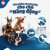 Thức ăn SmartHeart Power Pack 3kg cho chó con tặng set nón và yếm, giá ưu đãi 286k 2