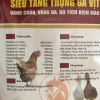 Thức ăn tăng trọng, vỗ béo gà vịt 1kg - Dinh dưỡng cao, tăng cân nhanh, giá ưu đãi 102.080 VND 9