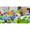 Thực phẩm bổ sung thảo mộc MI.NHON chính hãng - Giữ dáng, eo thon, hộp 30 viên, giảm giá 663.000đ 9