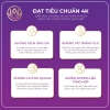 Thùng 10 Bịch Giấy Treo Tường Sắc Việt 4 Lớp Mềm Mịn Bột Gỗ Tự Nhiên 100% 5