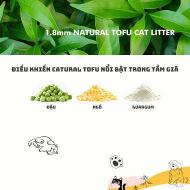 Thùng 10 Túi Cát Đậu Nành 6L (2Kg) – Tiết Kiệm, Hàng Sỉ Giá Tốt, Vón Cục Nhanh 6