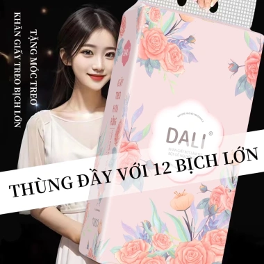 Thùng 12 bịch Khăn giấy DALI 4 lớp mềm mại 175x130mm - Tặng 6 móc treo - 145k