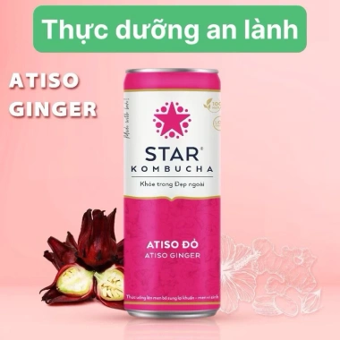 Thùng 12 lon Star Kombucha Lựu Đỏ Pomegranate Purity 250ml – Giá chỉ 359.900₫ 6
