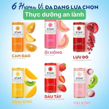 Thùng 12 lon Star Kombucha Mix 6 vị 250ml - Men vi sinh hỗ trợ tiêu hoá 179.900 VND