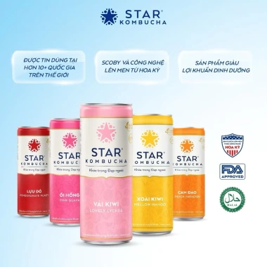 Thùng 12 lon Star Kombucha Mix 6 vị 250ml - Men vi sinh hỗ trợ tiêu hoá 179.900 VND
