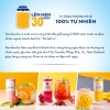 Thùng 12 lon Star Kombucha Mix 6 vị 250ml - Men vi sinh hỗ trợ tiêu hoá 179.900 VND 5