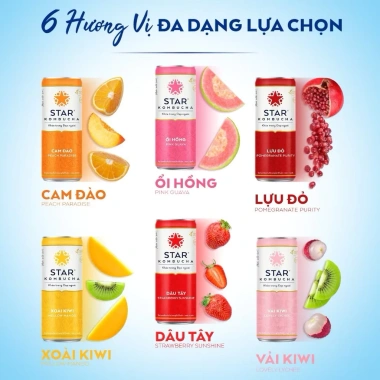 Thùng 12 lon Star Kombucha Mix 6 vị 250ml - Men vi sinh hỗ trợ tiêu hoá 179.900 VND