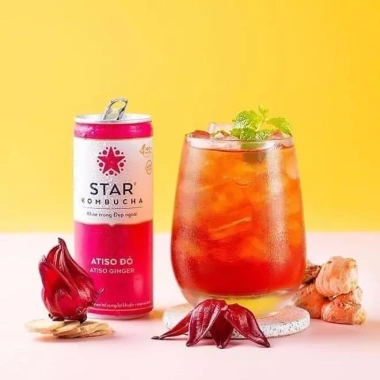 Thùng 12 lon Star Kombucha mix Tết 250ml Trà lên men tiêu hoá, sức khỏe 390.000đ 8 Thùng 12 lon Star Kombucha mix Tết 250ml Trà lên men tiêu hoá, sức khỏe 390.000đ 8