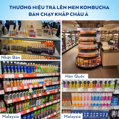 Thùng 12 lon trà STAR KOMBUCHA Ổi Hồng 250ml - Hữu cơ probiotic, tiêu hoá tốt, giảm giá 440k 5 Thùng 12 lon trà STAR KOMBUCHA Ổi Hồng 250ml - Hữu cơ probiotic, tiêu hoá tốt, giảm giá 440k 5