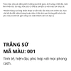 Thùng 18kg Sơn Chống Thấm X-Paint S9.000CTM - Phủ Tối Đa, Bảo Vệ Mọi Bề Mặt 9