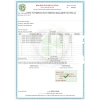 Thùng 200 Cái Khẩu Trang 9A Thịnh Phát - 5 Lớp, Che Toàn Mặt, Chống Nắng, Ngăn Khói Bụi - Giá 93.7k 9
