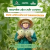Thùng 24 Lon Nước ép Dưa Lưới Gaz DANNYGREEN Fizz 320ml Giá chỉ 115.000đ 7