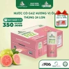 Thùng 24 Lon Nước Ép Ổi Hồng Có Gaz DANNYGREEN 330ml - Giá 105.000 VND (Giá gốc 132.300) 9