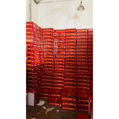 Thùng 24 lon Trà Sâm Thảo Mộc Jiaduobao 310ml giảm giá 85.000, bán lẻ