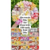 Thùng 2,5KG Bánh Mochi Kem Lạnh Mix 5 vị Hương Trái Cây Thơm Ngon - 219.000₫