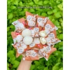 Thùng 2,5KG Bánh Mochi Kem Lạnh Mix Vị Trái Cây - Giá 244.999₫ 19