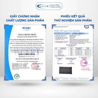 Thùng 300 chiếc (6 hộp) Khẩu Trang Y Tế 4 Lớp Hải An Mask - Kháng khuẩn, Chống bụi mịn và Tia UV, Giá ưu đãi 134.399 VND
