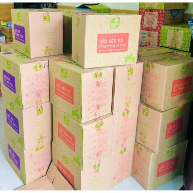 Thùng 48 chai Yến sào và Đông trùng hạ thảo Green Bird - 12 lốc 4 chai/lốc 185ml - Giá 1.190.000 VND