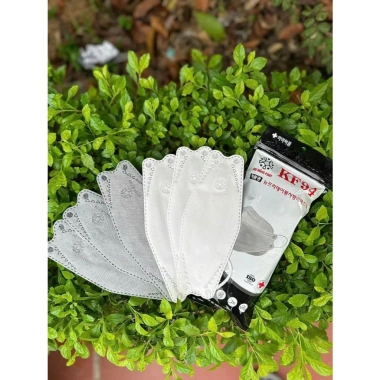Thùng 500 chiếc Khẩu Trang KF94 ĐẠI HỒNG PHÁT - Kháng khuẩn, Chống bụi, Chống UV, Giá 150.000 VND 2
