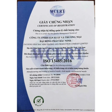 Thùng 500 chiếc Khẩu Trang KF94 ĐẠI HỒNG PHÁT - Kháng khuẩn, Chống bụi, Chống UV, Giá 150.000 VND 8