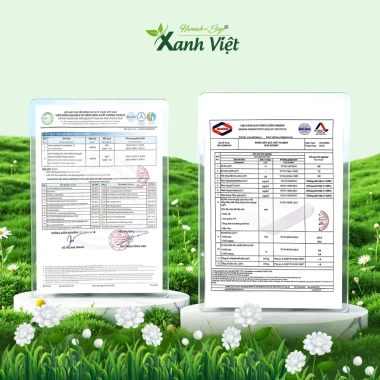 Thùng 600 khẩu trang 5D Hannah Seyo 3 lớp kháng khuẩn, lọc bụi, quai không đau tai - 185.000₫