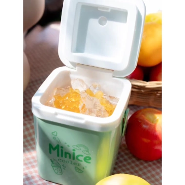 Thùng đá Minice 1-2.1-3L DUY TÂN nhựa PP PU giữ nhiệt, mini quai xách, giải khát 70.000₫