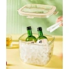 Thùng Đựng Đá Mini Nhựa Acrylic Mẫu Mới Xô Đá Du Lịch Picnic Nhẹ Giá Ưu Đãi 4