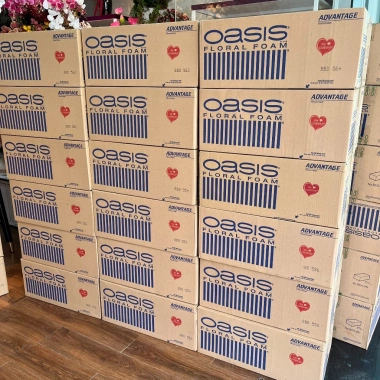 Thùng xốp Oasis cắm hoa tươi 20 viên: Mút xốp xanh, hoa sáp Loại 1-3, chính hãng Malaysia, giảm giá 255.000₫ 3 Thùng xốp Oasis cắm hoa tươi 20 viên: Mút xốp xanh, hoa sáp Loại 1-3, chính hãng Malaysia, giảm giá 255.000₫ 3