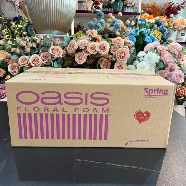 Thùng xốp Oasis cắm hoa tươi 20 viên: Mút xốp xanh, hoa sáp Loại 1-3, chính hãng Malaysia, giảm giá 255.000₫