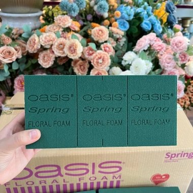 Thùng xốp Oasis cắm hoa tươi 20 viên: Mút xốp xanh, hoa sáp Loại 1-3, chính hãng Malaysia, giảm giá 255.000₫ 6 Thùng xốp Oasis cắm hoa tươi 20 viên: Mút xốp xanh, hoa sáp Loại 1-3, chính hãng Malaysia, giảm giá 255.000₫ 6