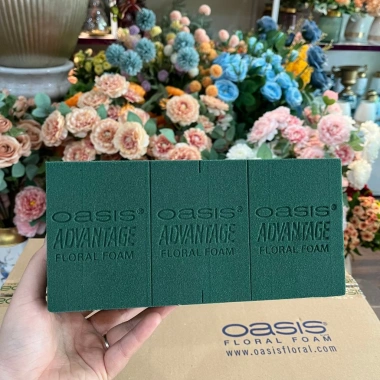 Thùng xốp Oasis cắm hoa tươi 20 viên: Mút xốp xanh, hoa sáp Loại 1-3, chính hãng Malaysia, giảm giá 255.000₫ 8 Thùng xốp Oasis cắm hoa tươi 20 viên: Mút xốp xanh, hoa sáp Loại 1-3, chính hãng Malaysia, giảm giá 255.000₫ 8