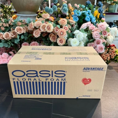 Thùng xốp Oasis cắm hoa tươi 20 viên: Mút xốp xanh, hoa sáp Loại 1-3, chính hãng Malaysia, giảm giá 255.000₫