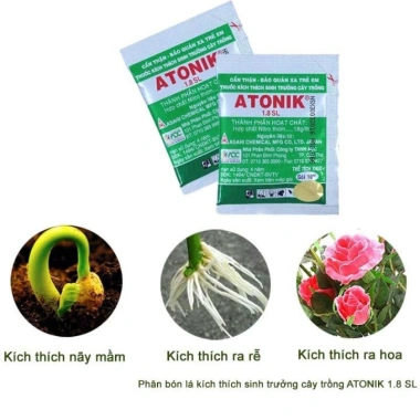 Thuốc ATONIK 1.8 SL - Kích Thúc Sinh Trưởng Cây Trồng, Tăng Độ Đàn Hồi, Giá 14.800 VNĐ