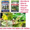 Thuốc Azosaic 16ml AntiXO - Diệt cháy bìa, khô đầu, đốm lá, héo xanh mai, hoa hồng - Giá 40.000đ
