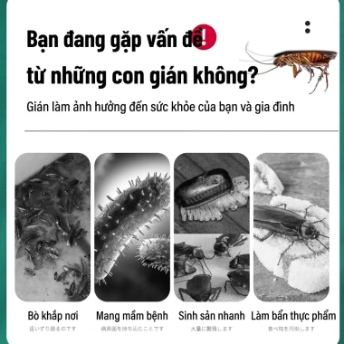 Thuốc diệt gián 30 phút - 24 viên hiệu quả, tiêu diệt nhanh, giảm giá 99.999₫