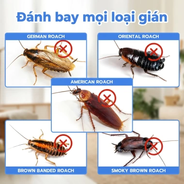 Thuốc diệt gián gel công thức mới Đức - Biến mất trong một đêm, chỉ 69.999₫