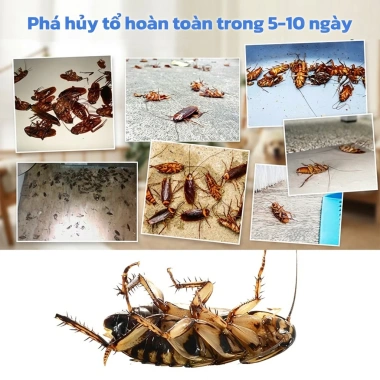 Thuốc diệt gián gel công thức mới Đức - Biến mất trong một đêm, chỉ 69.999₫ 8 Thuốc diệt gián gel công thức mới Đức - Biến mất trong một đêm, chỉ 69.999₫ 8
