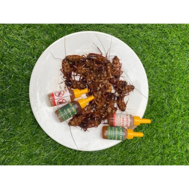Thuốc diệt kiến gián Hiển Anh 5 lọ - Giá 55.000đ, giảm mạnh, diệt nhanh, an toàn