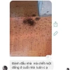 Thuốc Diệt Kiến Gián Sinh Học Việt Nam Hàng Chuẩn Hiệu Quả Nhanh Giá 7.500 VND 3
