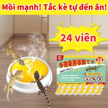 Thuốc diệt thằn lằn an toàn cho người và thú cưng - 30 năm không còn thằn lằn, giá 62.999