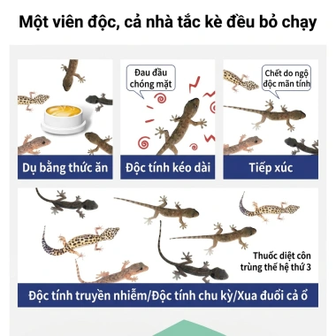 Thuốc diệt thằn lằn an toàn cho người và thú cưng - 30 năm không còn thằn lằn, giá 62.999
