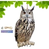 Thuốc đuổi chim cú 2 chuông ruy băng bảo vệ vườn tẩy bồ câu âm thanh tự nhiên 10