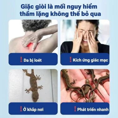 Thuốc đuổi thằn lằn 1 tặng 1 - Giao nhanh, diệt thằn lằn mồi hơi, hiệu quả trong nhà, 70k 2