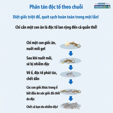 Thuốc đuổi thằn lằn 1 tặng 1 - Giao nhanh, diệt thằn lằn mồi hơi, hiệu quả trong nhà, 70k 6