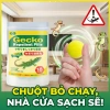 Thuốc đuổi thằn lằn và gián 1 túi 18 viên - Diệt thằn lằn, chỉ 70.000đ