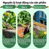 Thuốc đuổi thằn lằn và gián 1 túi 18 viên - Diệt thằn lằn, chỉ 70.000đ 6