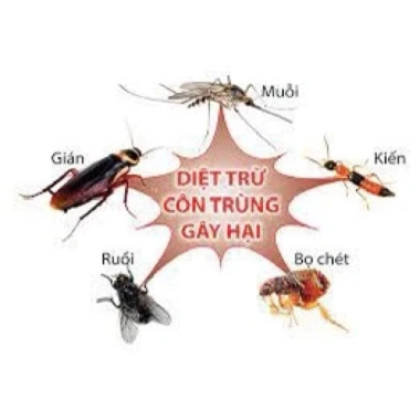 Thuốc Muỗi Xịt Sinh Học Perfam 500EC An Toàn, Giá 85.000 VND - Hàng Chuẩn 3