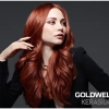 Thuốc Nhuộm Tóc GOLDWELL TOPCHIC Chính Hãng 60ml/250ml - Màu Nhuộm Đức, Lên Màu Chuẩn, Không Khô Tóc, Giá 190k 7