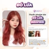 Thuốc nhuộm tóc Màu Đỏ Lửa RED FIRE - Cần tẩy, giá chỉ 77.000đ - Minzihair HCM 6